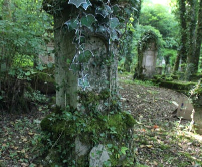 vitrail contemporain art sculpture lierre jardin verre nature charles forzinetti