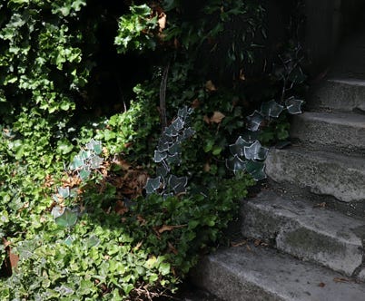 vitrail contemporain art sculpture lierre jardin verre nature charles forzinetti