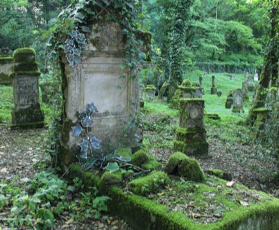 vitrail contemporain art sculpture lierre jardin verre nature charles forzinetti